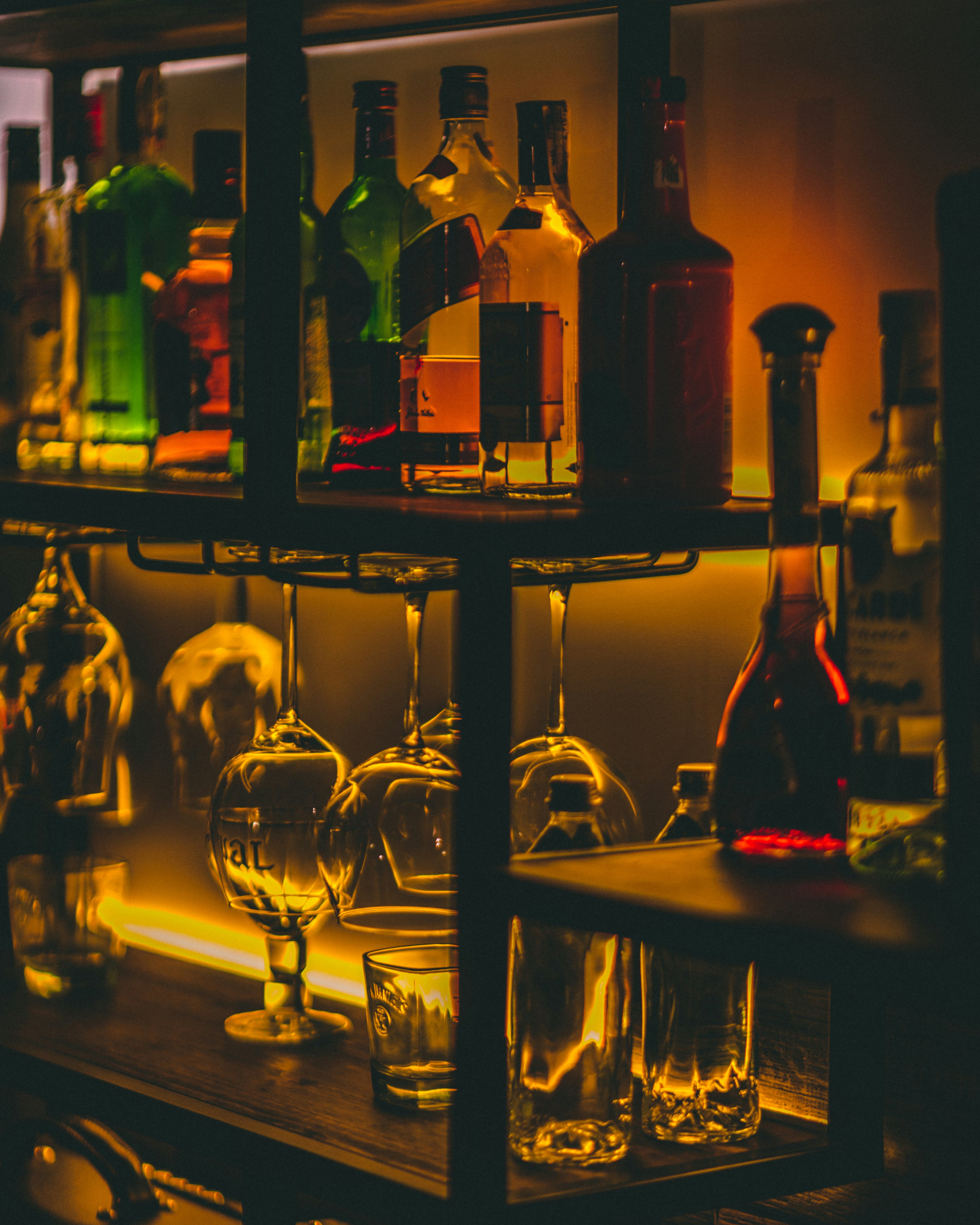 Tech & Soul team delivering creative digital solutions across Sirohi and Udaipur